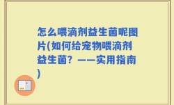 怎么喂滴剂益生菌呢图片(如何给宠物喂滴剂益生菌？——实用指南)