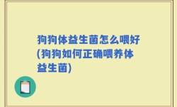 狗狗体益生菌怎么喂好(狗狗如何正确喂养体益生菌)