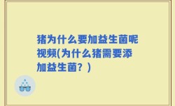 猪为什么要加益生菌呢视频(为什么猪需要添加益生菌？)
