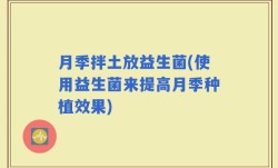 月季拌土放益生菌(使用益生菌来提高月季种植效果)