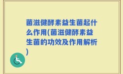 菌滋健酵素益生菌起什么作用(菌滋健酵素益生菌的功效及作用解析)