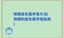 锦鲤益生菌养殖方法(锦鲤的益生菌养殖指南)