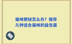猫咪便秘怎么办？推荐几种适合猫咪的益生菌