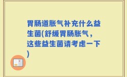 胃肠道胀气补充什么益生菌(舒缓胃肠胀气，这些益生菌请考虑一下)