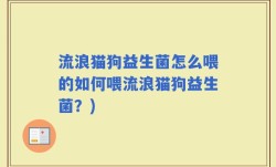 流浪猫狗益生菌怎么喂的如何喂流浪猫狗益生菌？)