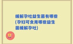 缓解孕吐益生菌有哪些(孕妇可食用哪些益生菌缓解孕吐)