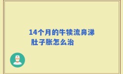 14个月的牛犊流鼻涕 肚子胀怎么治