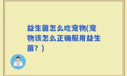 益生菌怎么吃宠物(宠物该怎么正确服用益生菌？)