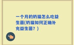 一个月的奶猫怎么吃益生菌(奶猫如何正确补充益生菌？)