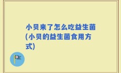 小贝来了怎么吃益生菌(小贝的益生菌食用方式)