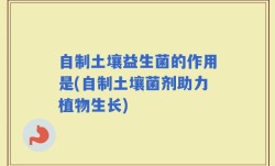 自制土壤益生菌的作用是(自制土壤菌剂助力植物生长)