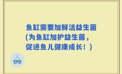 鱼缸需要加鲜活益生菌(为鱼缸加护益生菌，促进鱼儿健康成长！)