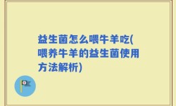 益生菌怎么喂牛羊吃(喂养牛羊的益生菌使用方法解析)