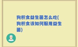 狗积食益生菌怎么吃(狗积食该如何服用益生菌)