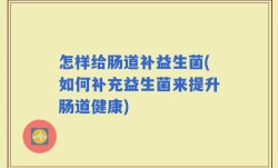怎样给肠道补益生菌(如何补充益生菌来提升肠道健康)