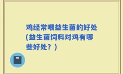 鸡经常喂益生菌的好处(益生菌饲料对鸡有哪些好处？)