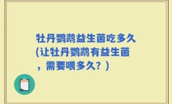 牡丹鹦鹉益生菌吃多久(让牡丹鹦鹉有益生菌，需要喂多久？)