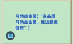 马勃益生菌(“高品质马勃益生菌，促进肠道健康”)