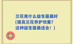 兰花用什么益生菌最好(提高兰花养护效果？这种益生菌最适合！)