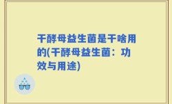 干酵母益生菌是干啥用的(干酵母益生菌：功效与用途)