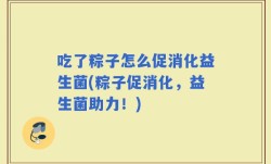 吃了粽子怎么促消化益生菌(粽子促消化，益生菌助力！)