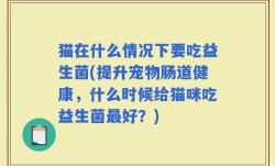 猫在什么情况下要吃益生菌(提升宠物肠道健康，什么时候给猫咪吃益生菌最好？)