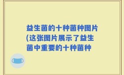 益生菌的十种菌种图片(这张图片展示了益生菌中重要的十种菌种