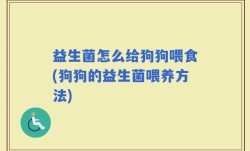 益生菌怎么给狗狗喂食(狗狗的益生菌喂养方法)