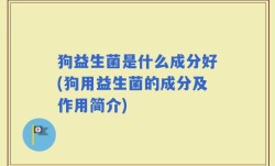 狗益生菌是什么成分好(狗用益生菌的成分及作用简介)