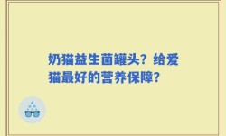 奶猫益生菌罐头？给爱猫最好的营养保障？