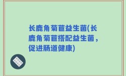 长鹿角菊苣益生菌(长鹿角菊苣搭配益生菌，促进肠道健康)