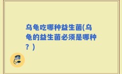 乌龟吃哪种益生菌(乌龟的益生菌必须是哪种？)