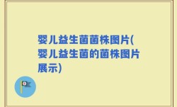 婴儿益生菌菌株图片(婴儿益生菌的菌株图片展示)