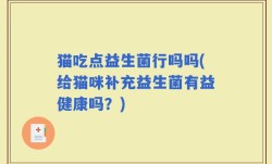 猫吃点益生菌行吗吗(给猫咪补充益生菌有益健康吗？)