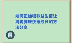 如何正确喂养益生菌让狗狗健康快乐成长的方法分享