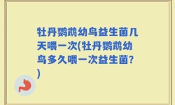 牡丹鹦鹉幼鸟益生菌几天喂一次(牡丹鹦鹉幼鸟多久喂一次益生菌？)