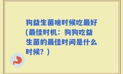 狗益生菌啥时候吃最好(最佳时机：狗狗吃益生菌的最佳时间是什么时候？)