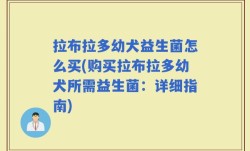 拉布拉多幼犬益生菌怎么买(购买拉布拉多幼犬所需益生菌：详细指南)
