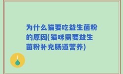 为什么猫要吃益生菌粉的原因(猫咪需要益生菌粉补充肠道营养)