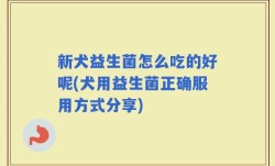新犬益生菌怎么吃的好呢(犬用益生菌正确服用方式分享)