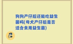 狗狗产仔后还能吃益生菌吗(母犬产仔后是否适合食用益生菌)