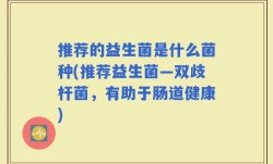 推荐的益生菌是什么菌种(推荐益生菌—双歧杆菌，有助于肠道健康)