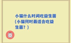 小猫什么时间吃益生菌(小猫何时最适合吃益生菌？)