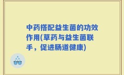 中药搭配益生菌的功效作用(草药与益生菌联手，促进肠道健康)