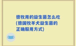 德牧用的益生菌怎么吃(德国牧羊犬益生菌的正确服用方式)