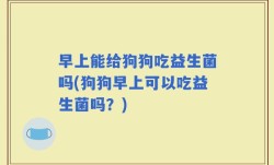 早上能给狗狗吃益生菌吗(狗狗早上可以吃益生菌吗？)