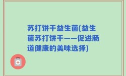 苏打饼干益生菌(益生菌苏打饼干——促进肠道健康的美味选择)