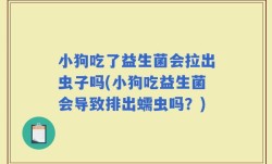 小狗吃了益生菌会拉出虫子吗(小狗吃益生菌会导致排出蠕虫吗？)
