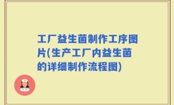 工厂益生菌制作工序图片(生产工厂内益生菌的详细制作流程图)