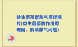 益生菌菌群胀气原理图片(益生菌菌群作用原理图，解读胀气问题)